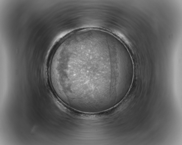 X0000086751072200704271706