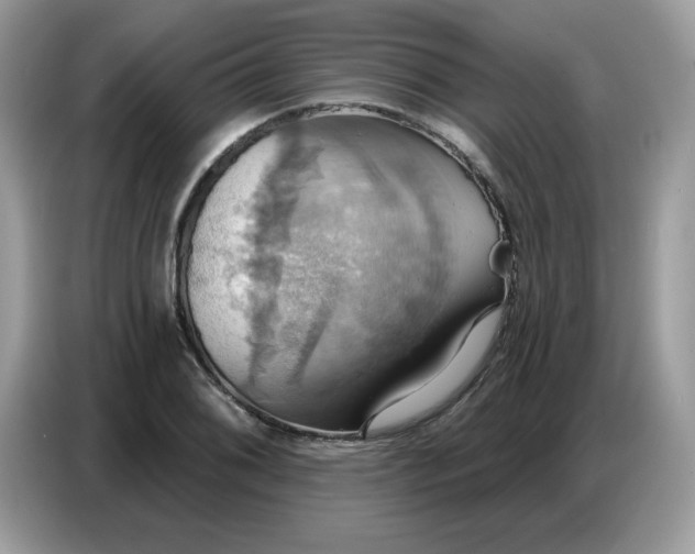 X0000086751076200704271705