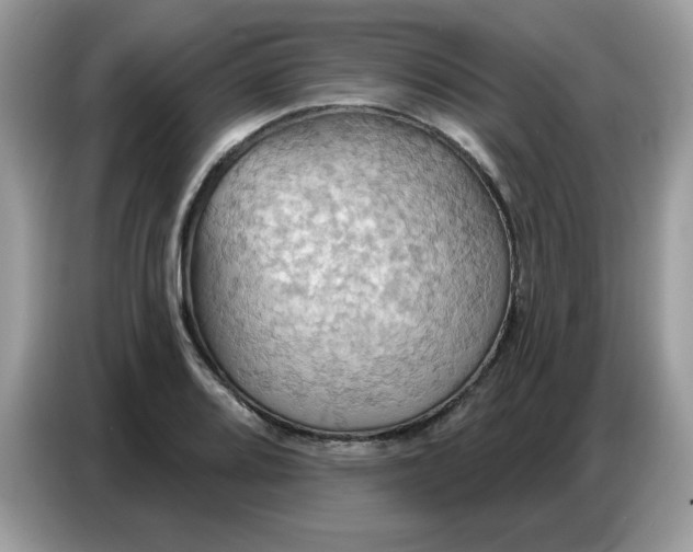 X0000086751080200704271705