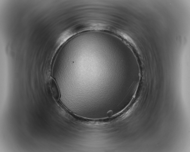 X0000086751081200704271705