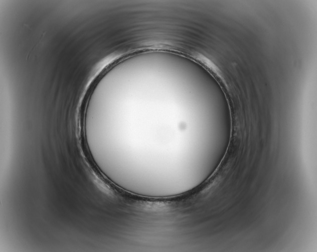 X0000086751082200704271705