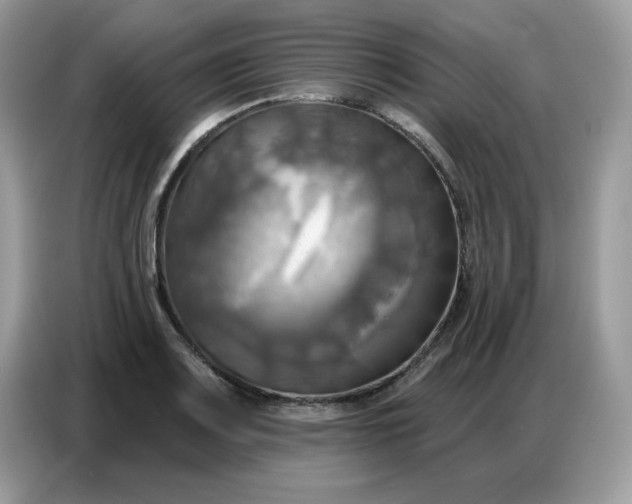 X0000086751083200704271705