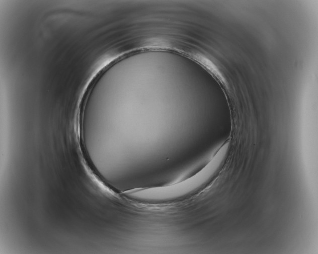 X0000086751084200704271705