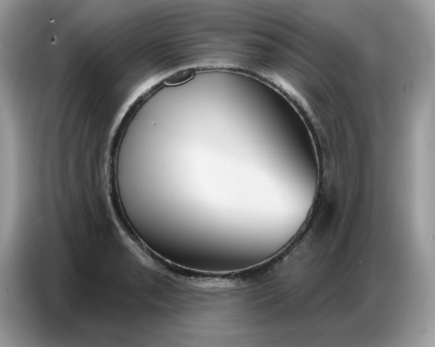 X0000086751085200704271705