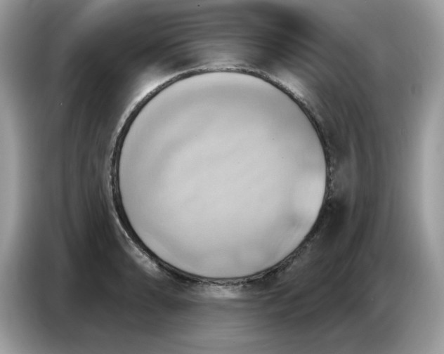 X0000086751086200704271705