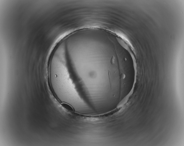 X0000086751088200704271705