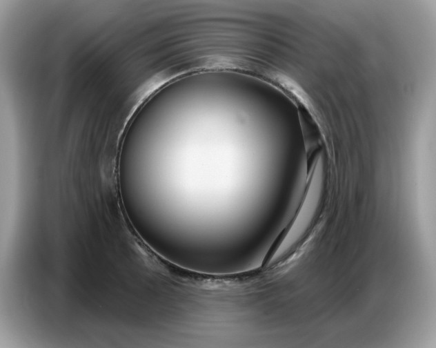 X0000086751089200704271705