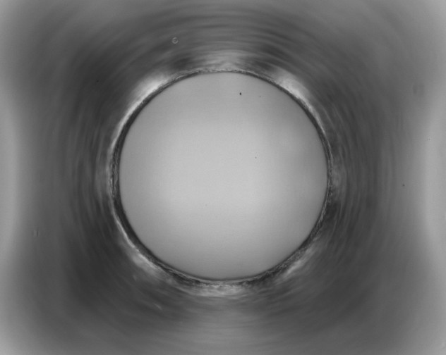 X0000086751090200704271705