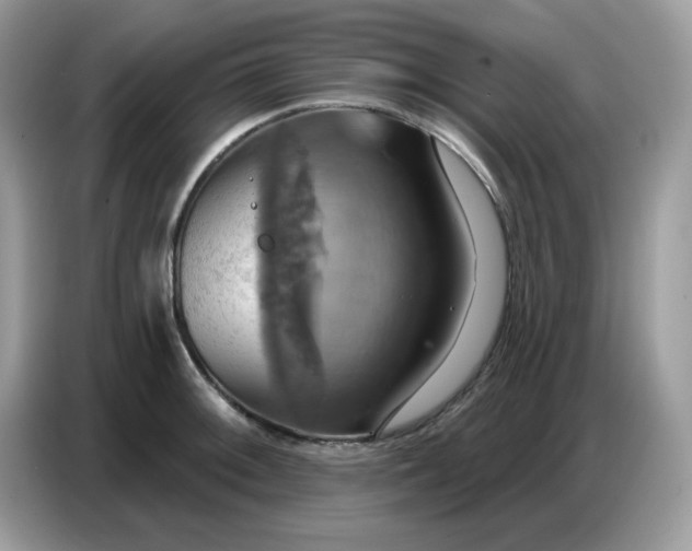 X0000086751092200704271705