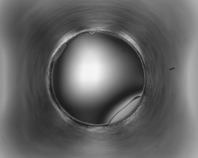 X0000086751093200704271705