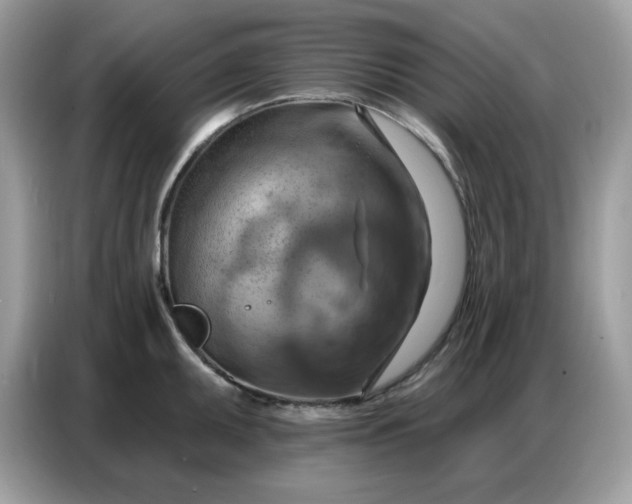 X0000086751095200704271705