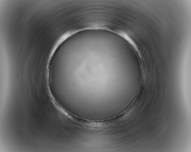 X0000086751096200704271705