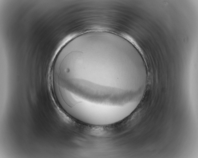 X0000086751098200704271705