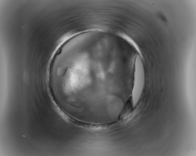 X0000086751099200704271705