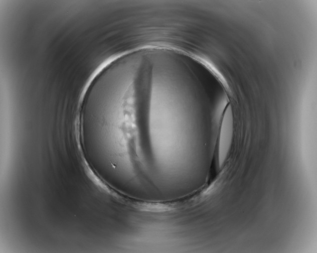 X0000086751100200704271705