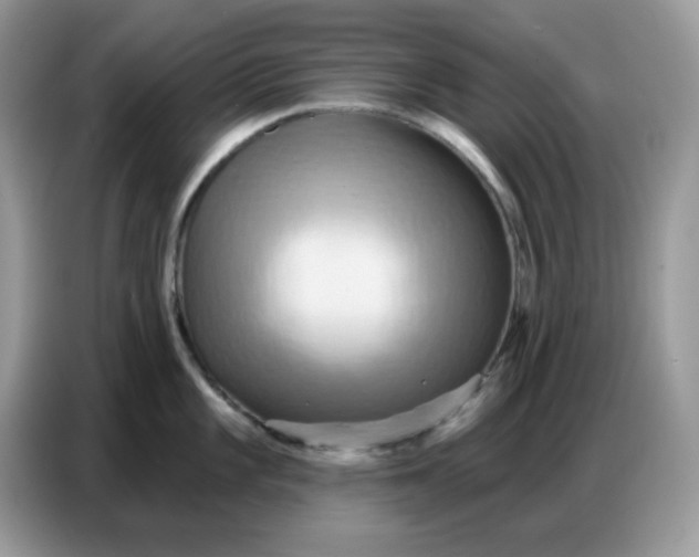 X0000086751101200704271705