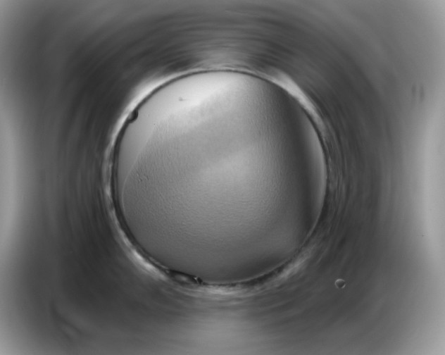 X0000086751102200704271705