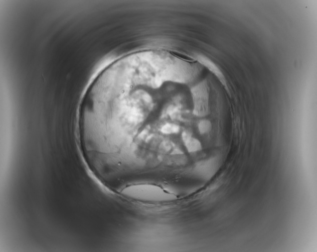 X0000086751103200704271705