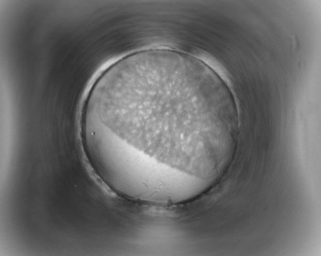 X0000086751104200704271705