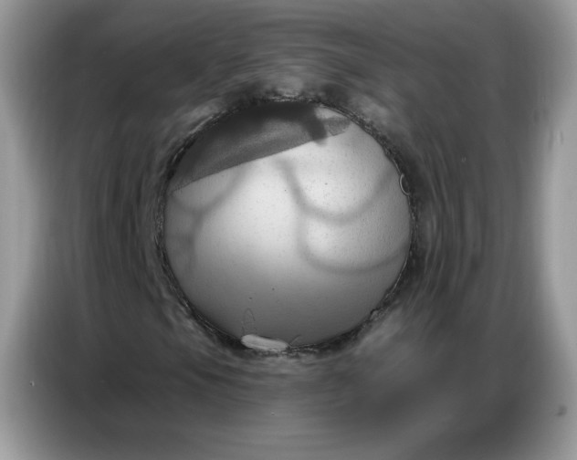 X0000086751105200704271705