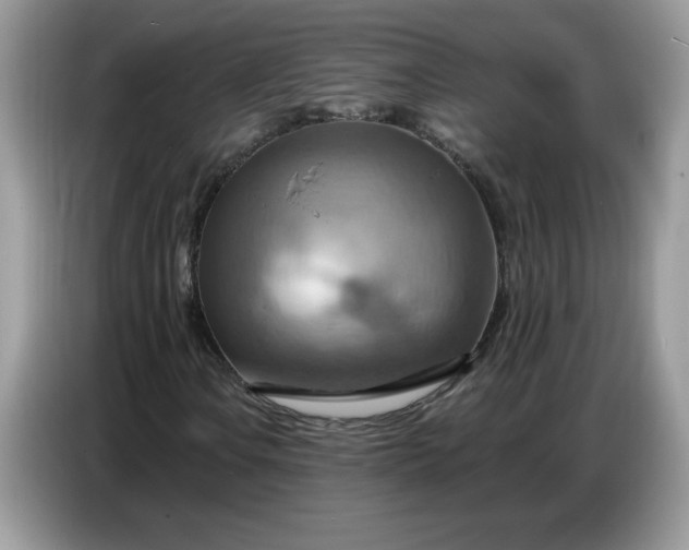 X0000086751106200704271705