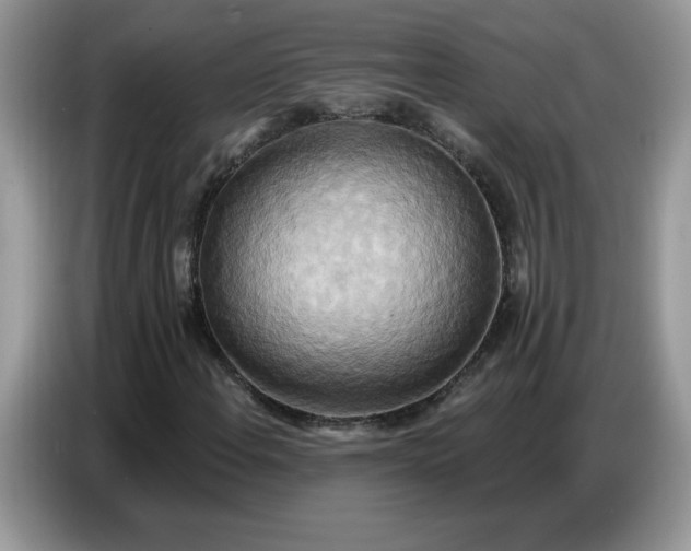 X0000086751108200704271705