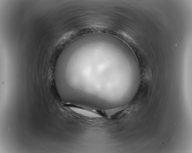 X0000086751110200704271705