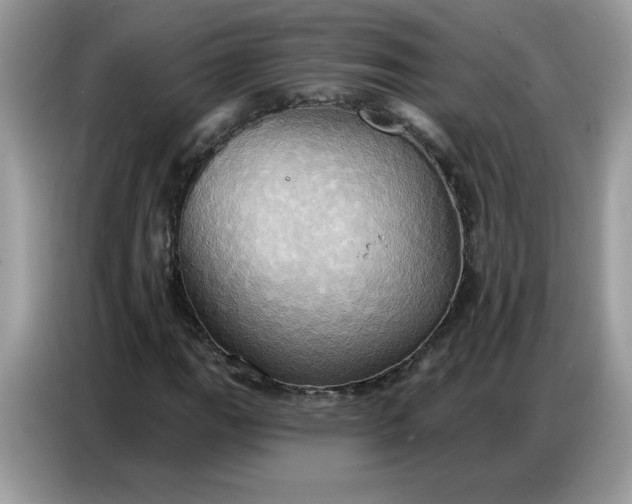 X0000086751111200704271705