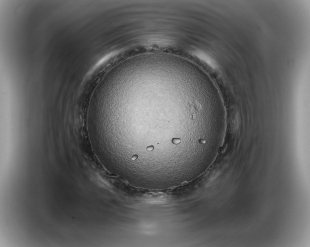 X0000086751112200704271705