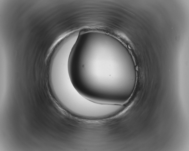 X0000086751114200704271705