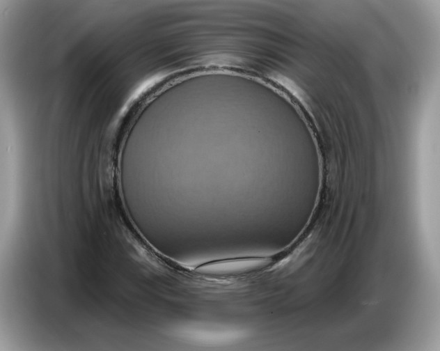 X0000086751115200704271705