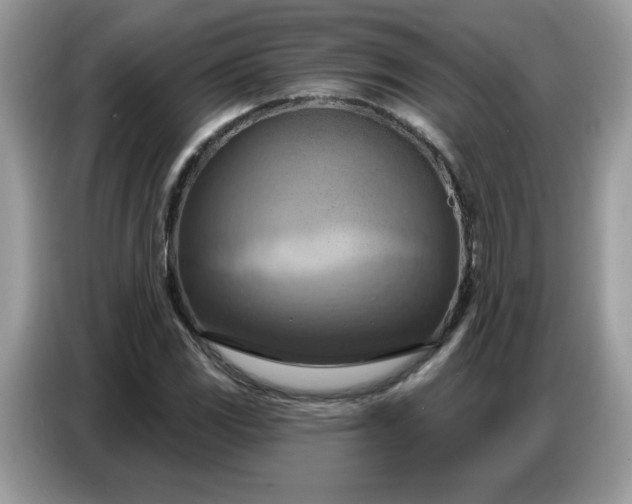 X0000086751117200704271705