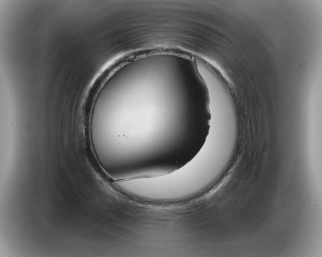 X0000086751118200704271705