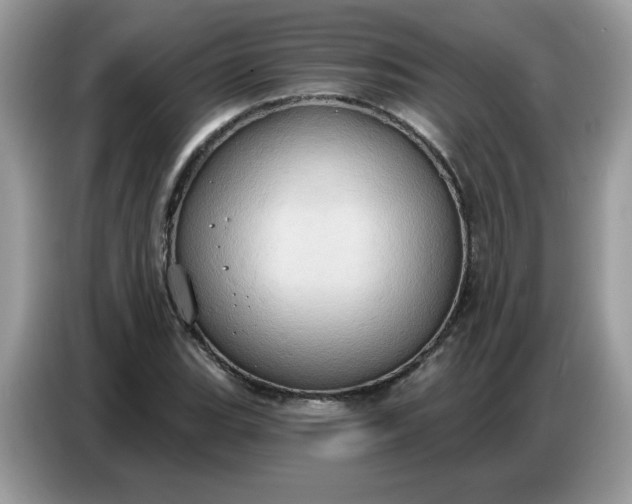 X0000086751119200704271705