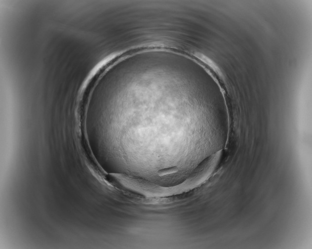 X0000086751120200704271705