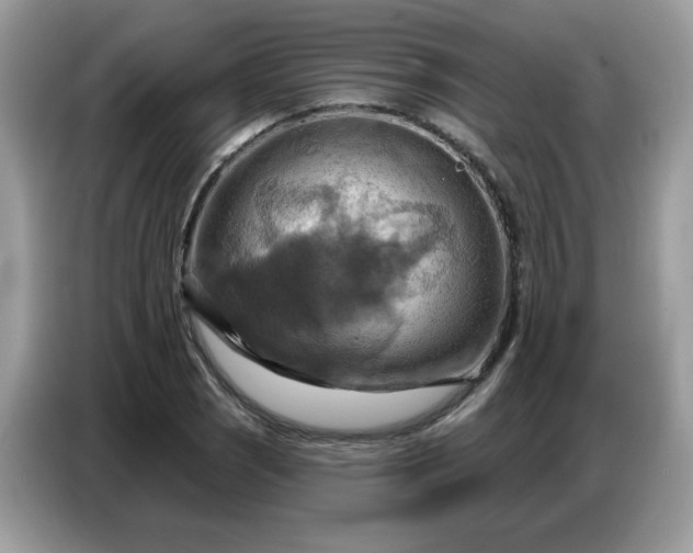 X0000086751121200704271705