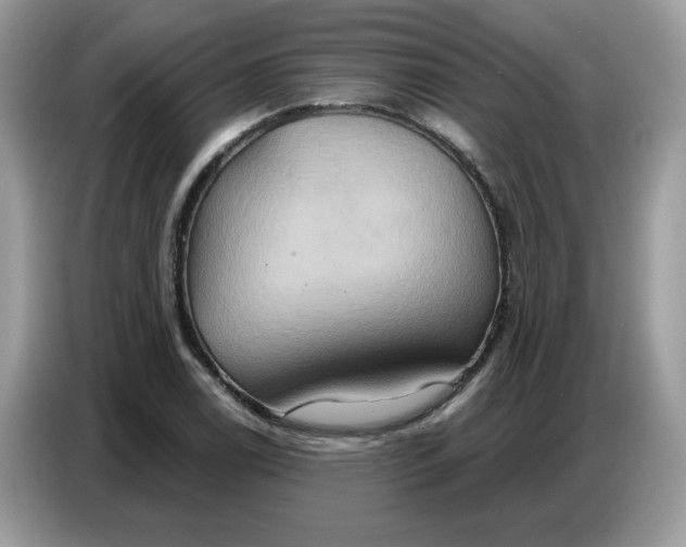 X0000086751122200704271705