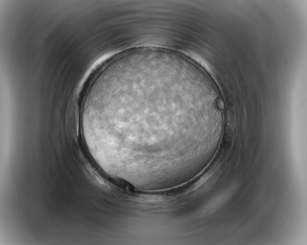 X0000086751123200704271705