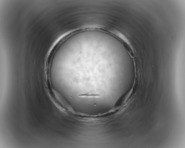 X0000086751124200704271705