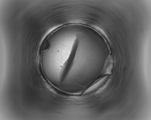 X0000086751125200704271705