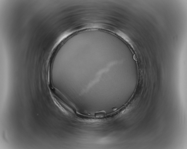 X0000086751127200704271705