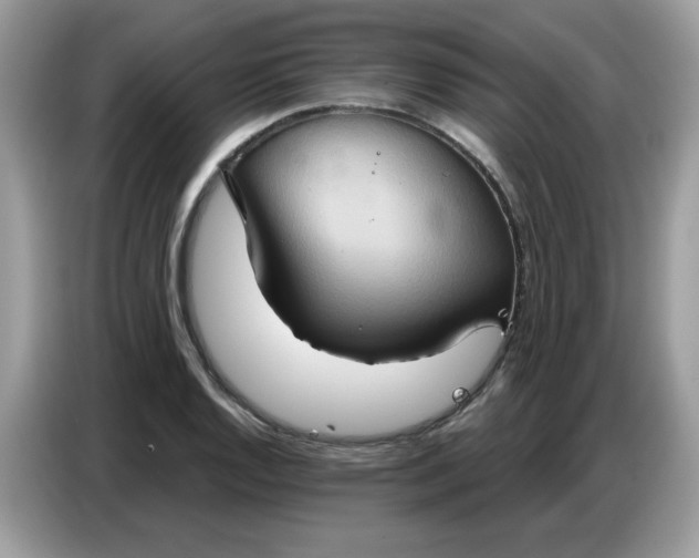 X0000086751128200704271705