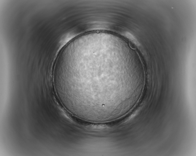 X0000086751129200704271705