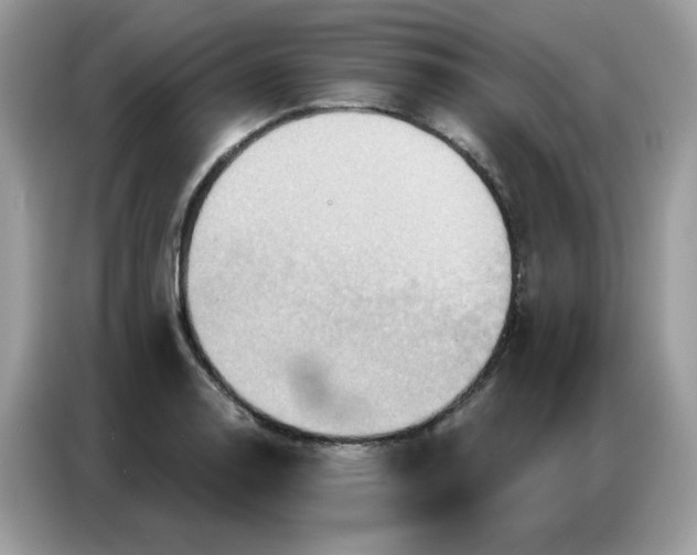 X0000086751130200704271705