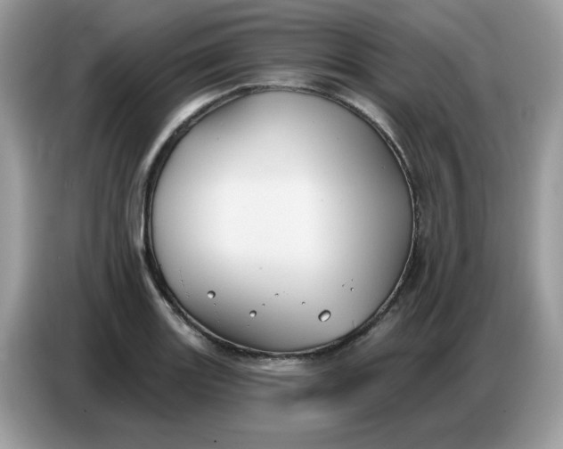 X0000086751131200704271705