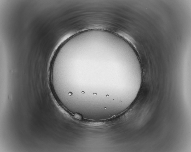 X0000086751135200704271705