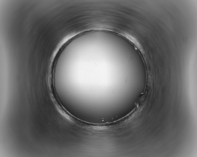 X0000086751136200704271705