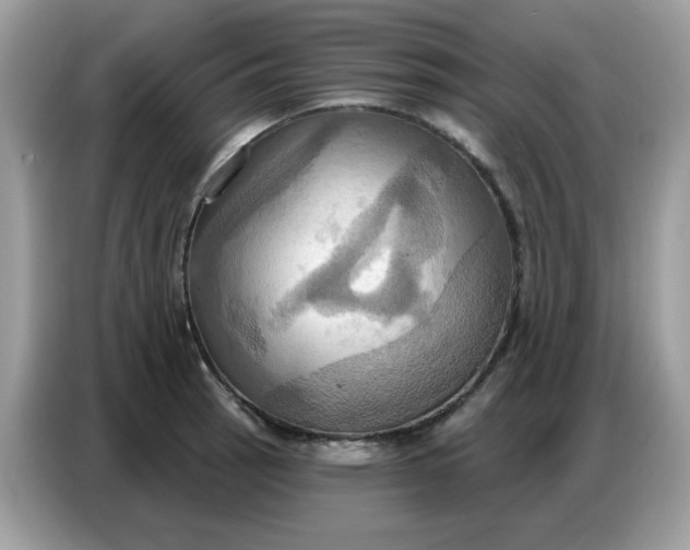 X0000086751137200704271705