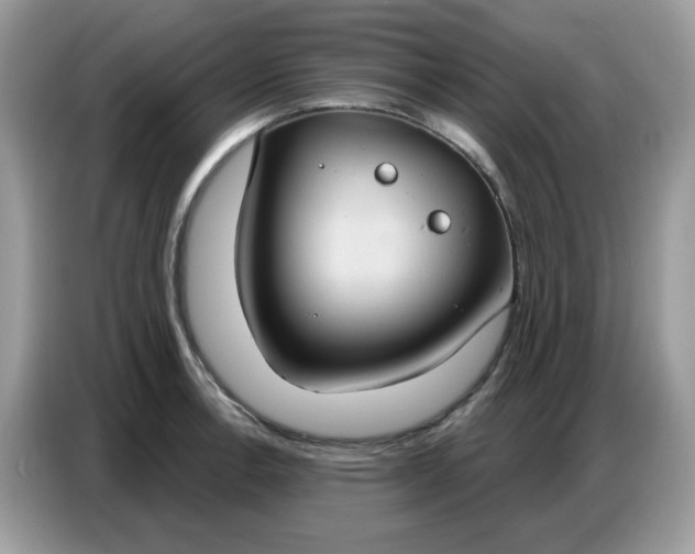 X0000086751138200704271705