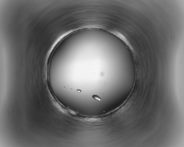 X0000086751140200704271705